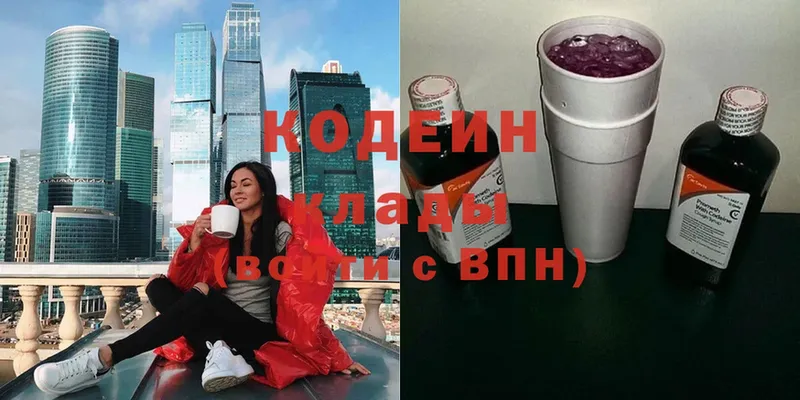 блэк спрут ССЫЛКА  Кашин  Кодеин Purple Drank  купить закладку 