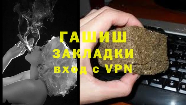 мяу мяу мука Тайга