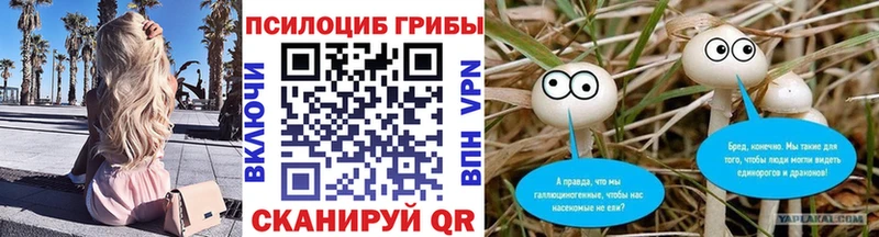 KRAKEN зеркало  Кашин  Псилоцибиновые грибы мухоморы 