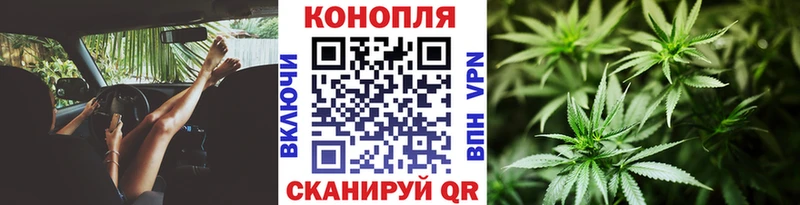 мега зеркало  Кашин  Конопля ГИДРОПОН 